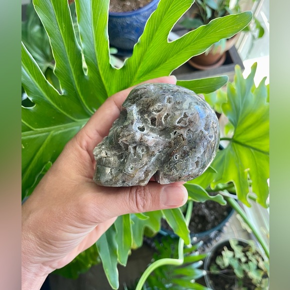 Moss Agate Skull - Picture 2 of 6